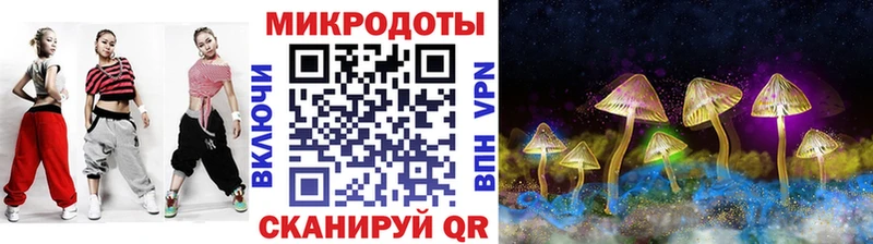 Псилоцибиновые грибы Psilocybe  где продают   Катав-Ивановск 